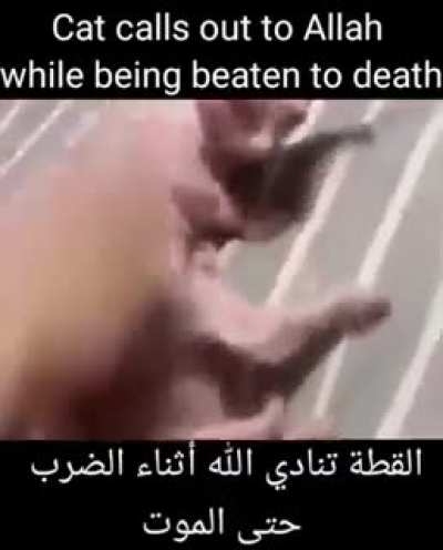 rule