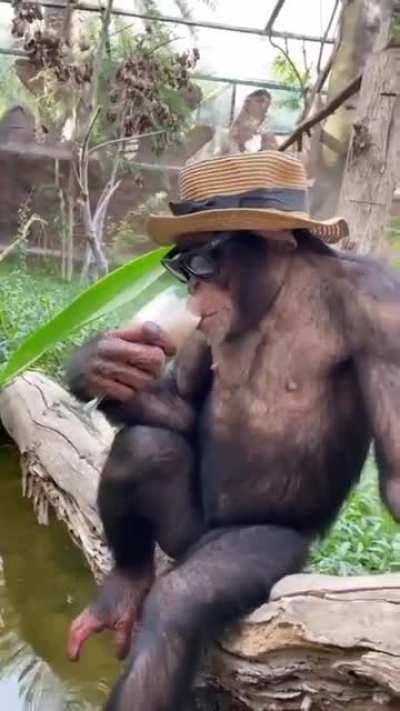 Клёвый чел