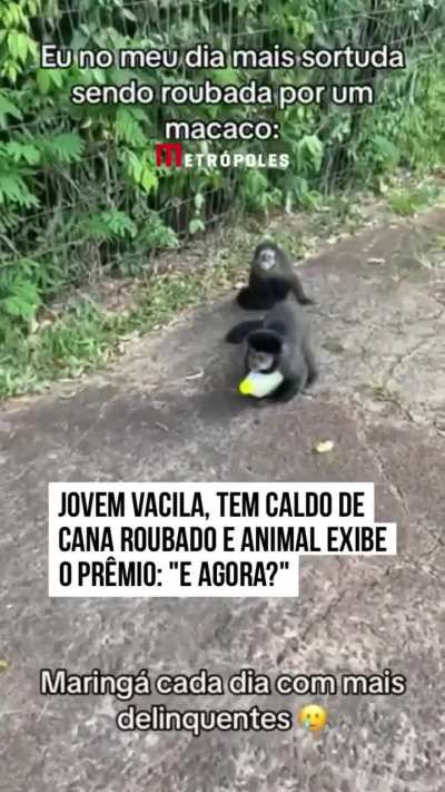Akemi flagrado em Maring&aacute; imagens reais