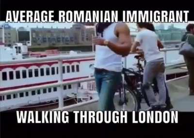 Average Roachmanian