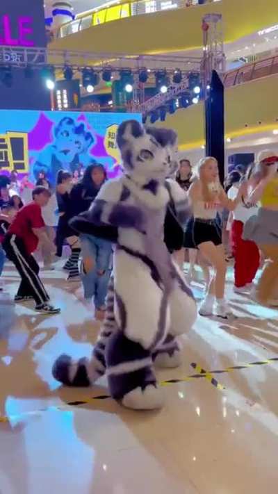 Furry_irl