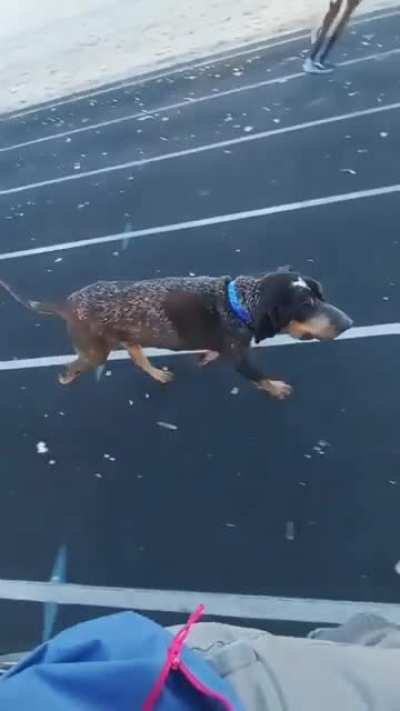 Little dude nailed it