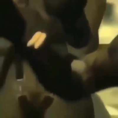 Bonked