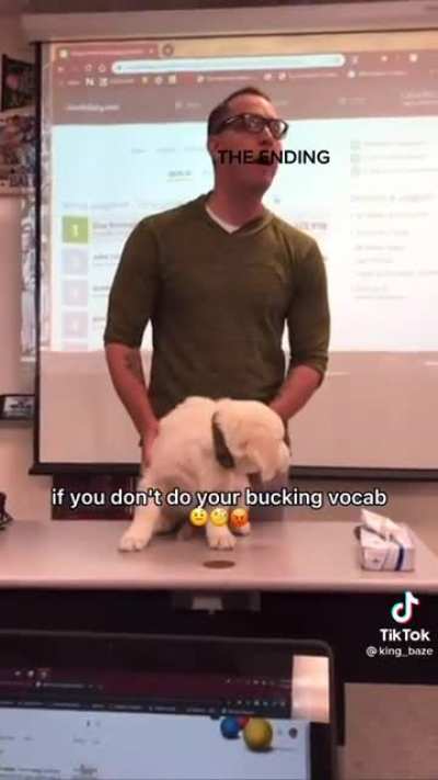 what da dog doin