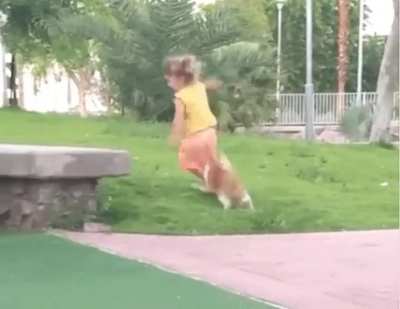 Don&rsquo;t fuck with cats