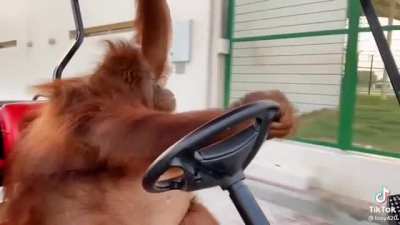 This is probably the best video I&rsquo;ve ever seen on the internet