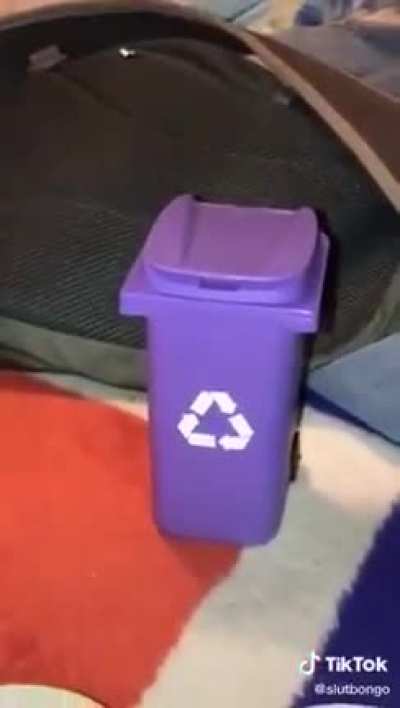 s&oacute; foi