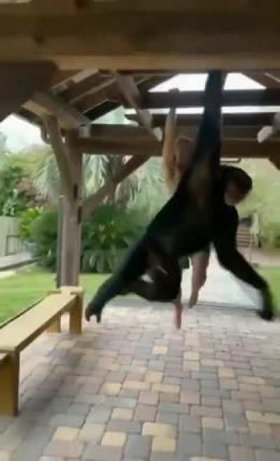I love how the chimpanzee pauses to look back &amp;amp; see how Connor is doing: Connor McCabe