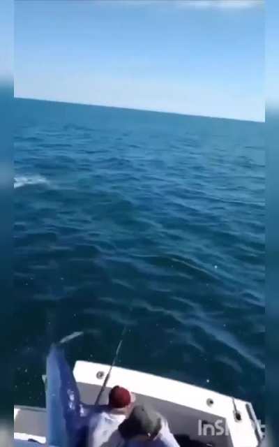 More mako madness