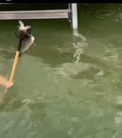Poseidon don&rsquo;t need no pole!