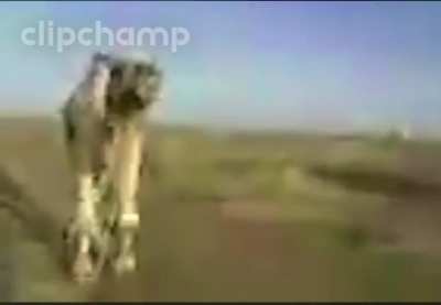 😍😍🙏🙏😥😥 قطاعات الصناعة على الشبكة العالمية