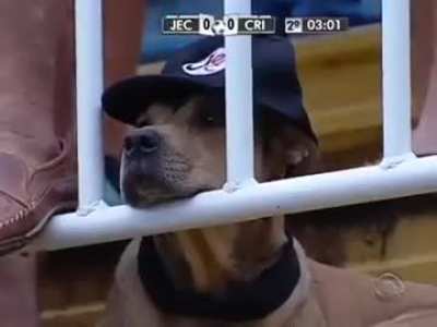 eu_nvr🐶🧢
