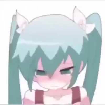 No anime