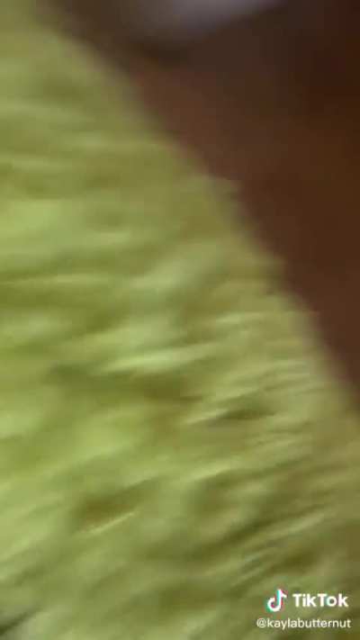 @kaylabutternut