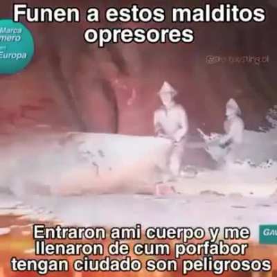 Ayuda son peligrosos 😭🙏