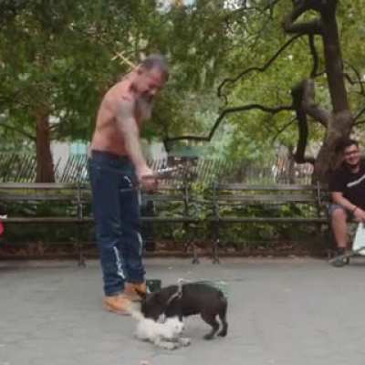 This guy makes the puppet look like a real dog