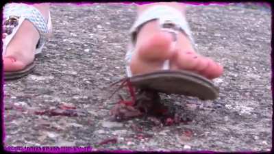 Flat sandals crawfish 