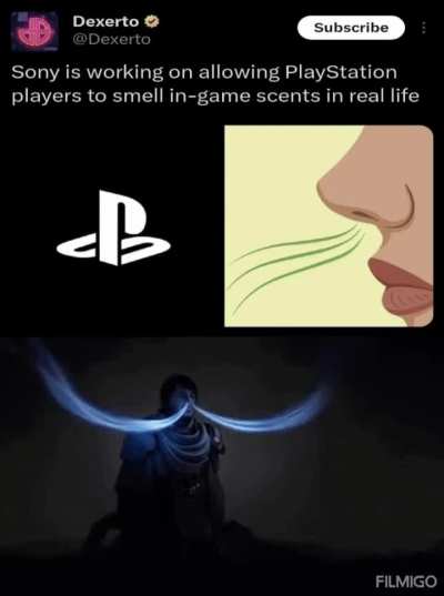 Losercity future 