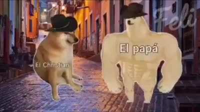Echele verga