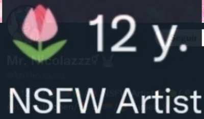 Ayo what ? &lsquo;Nsfw artist&rsquo; and &lsquo;12 y.&rsquo;?!