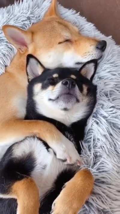 Much sleep