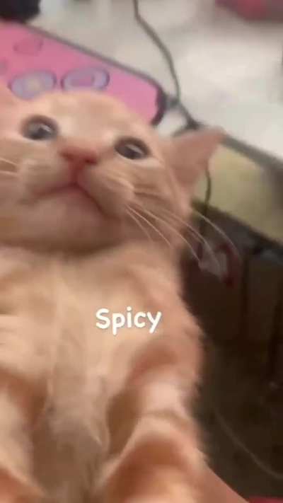 He's too spicy