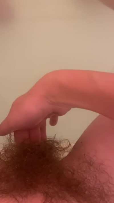 Hairy Pussy GIF by supdawg411