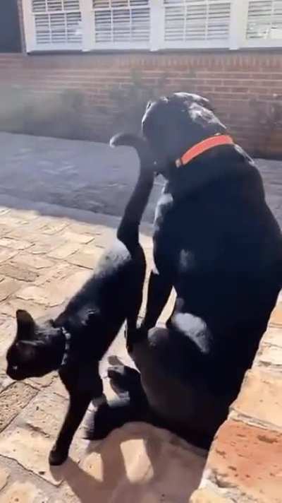 "Sup Dawg" *luv bump*