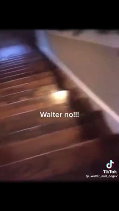 weeeeee