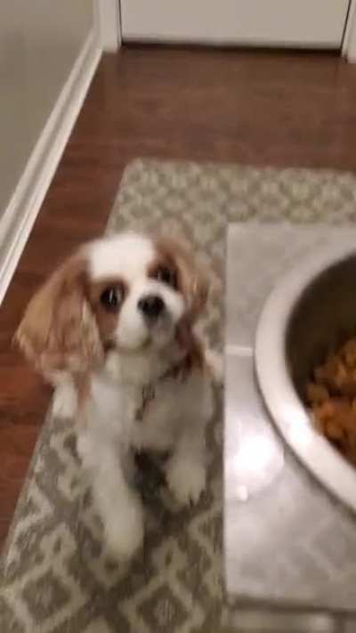 feeding Lucy... wait for it