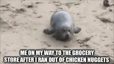 I&rsquo;m going on a quest!