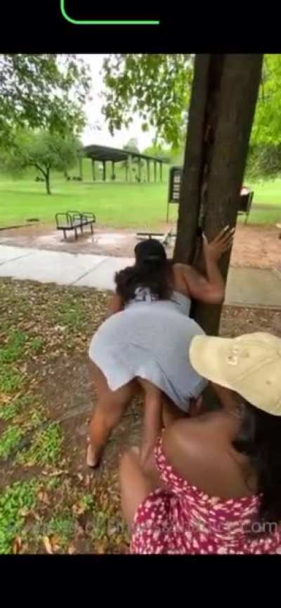 Park Video Free🤷🏽&zwj;♂️