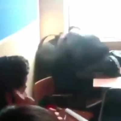 Modo criativo ativado