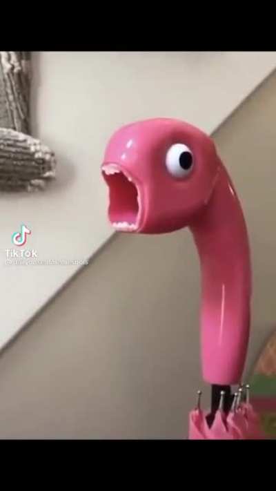 Flamingnose