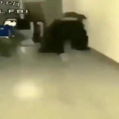shitposting - Video #1275