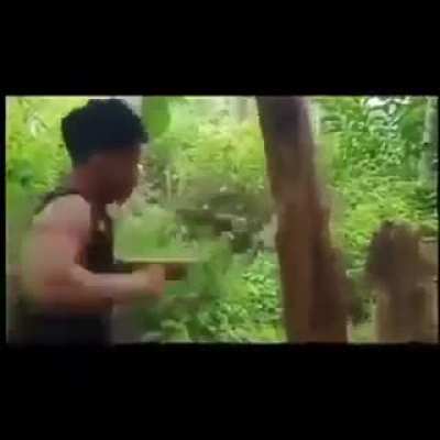 Breaking trees with bare hands
