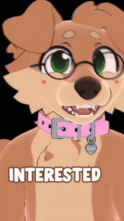 Furry_irl