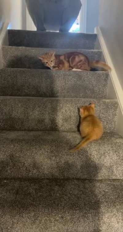 She wasn&rsquo;t expecting him to be so quick!
