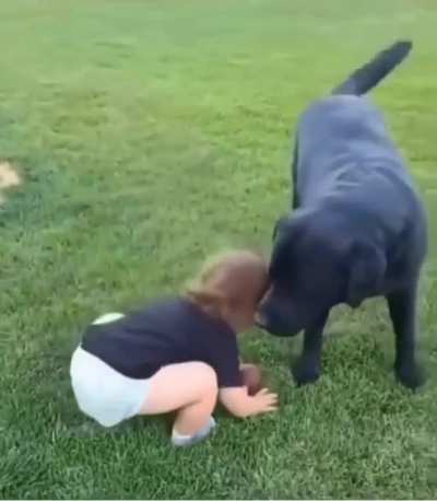 Good boy! 