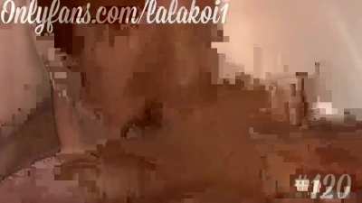 TopTi<wbr>erEye<wbr>Candy - Video #3474