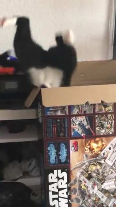 Stuck in a box