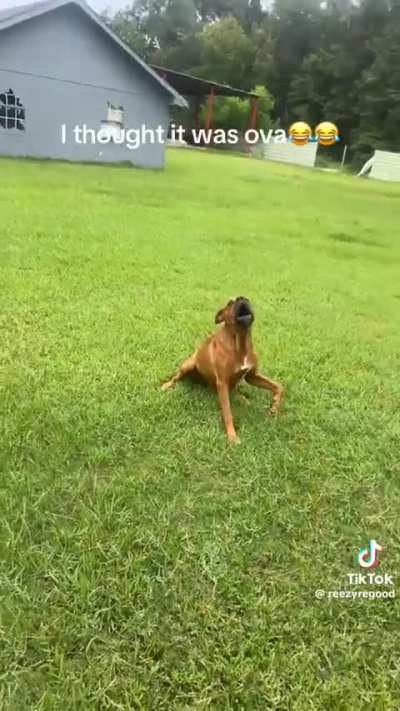 😆😆😆
