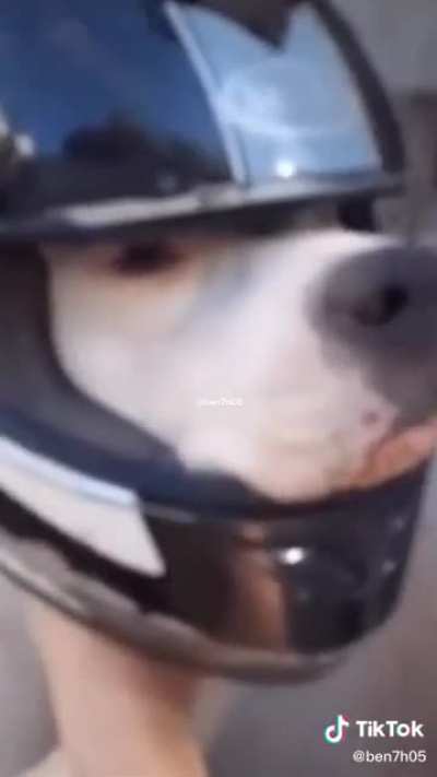 iLu en el R8 xd