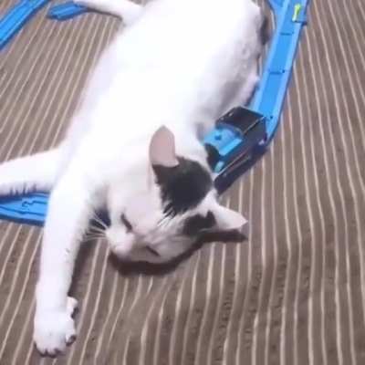 Mood