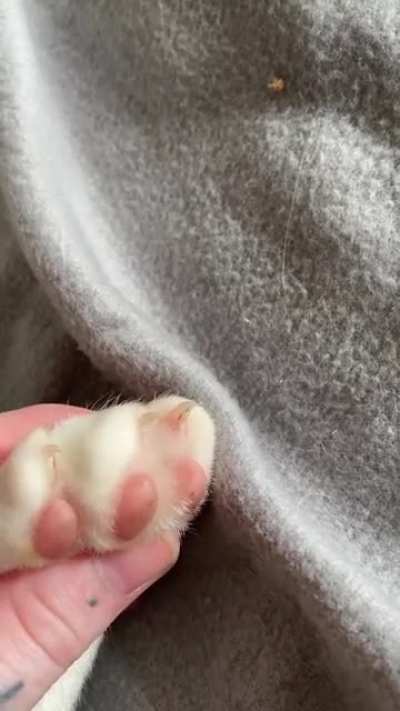 Murder mittens in my work
