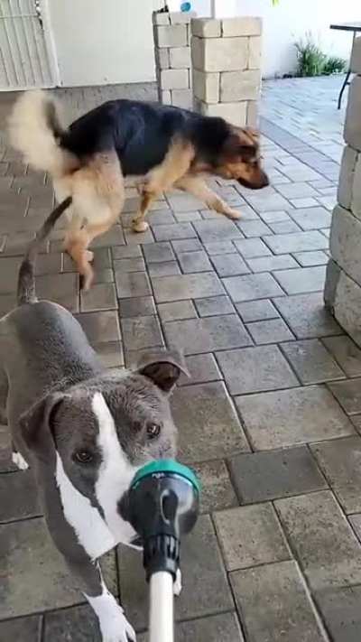 Refreshment Time