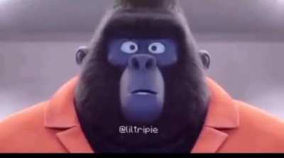 gorilla hawt