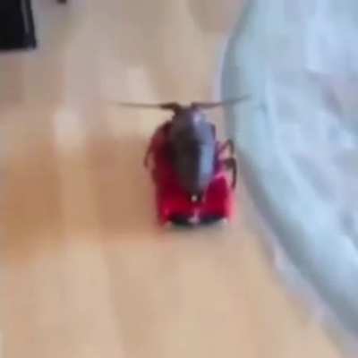 blursed_ride