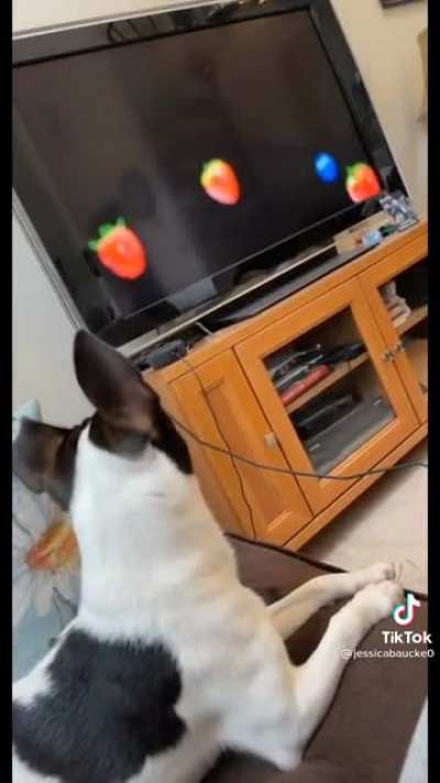damn blueberries