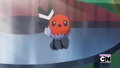 birb👍